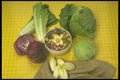 294039 Cabbage And Endives A4 Photo Print