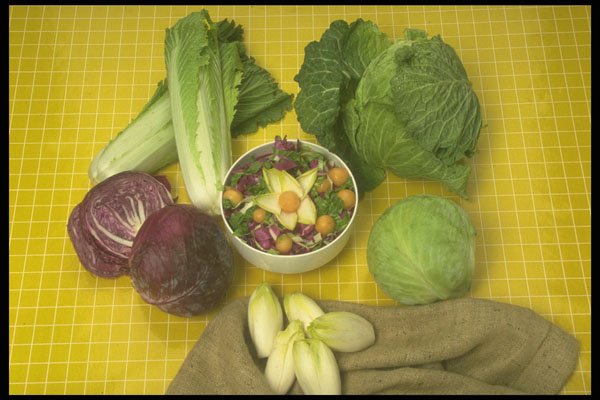294039 Cabbage And Endives A4 Photo Print