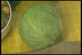 294042 Green Cabbage A4 Photo Print
