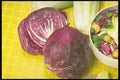 294043 Red Cabbage Highlights A4 Photo Print