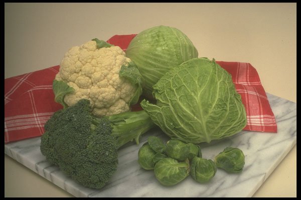 294044 Vegetable Collection A4 Photo Print