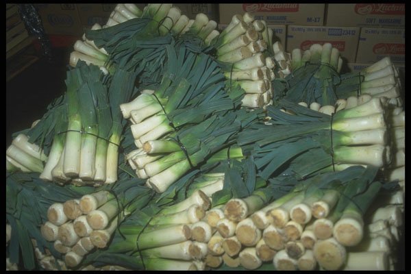 294047 Leeks A4 Photo Print