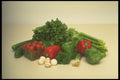 294055 Red And Green A4 Photo Print