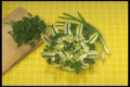 294069 Endives, Parsley And Shallots A4 Photo Print