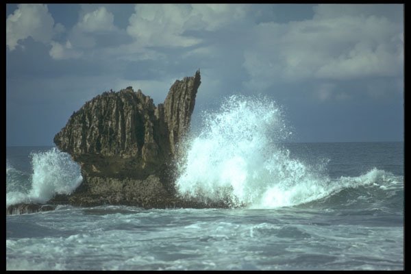 295005 Bathsheba Coast, Barbados A4 Photo Print