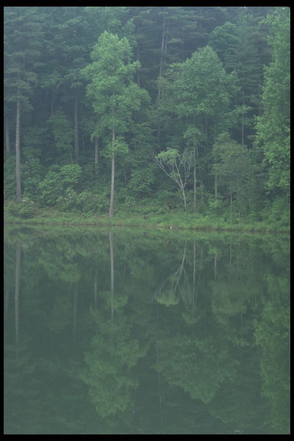 295007 Spring Blue Ridge Parkway, Virginia A4 Photo Print