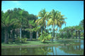295009 Fairchild Tropical Gardens, Florida, U.S.A. A4 Photo Print