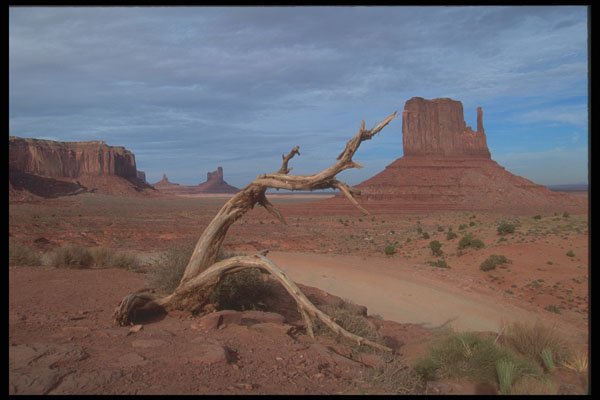 295016 West And East Mitten Butts, Monument Valley, Arizona, U.S.A. A4 Photo Print