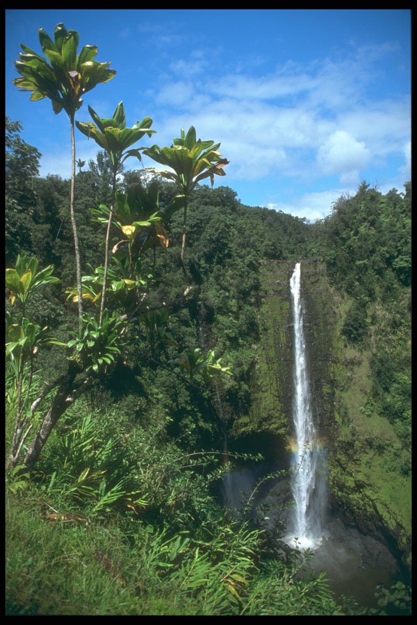 295019 Angel Falls, Hawaii, U.S.A. A4 Photo Print