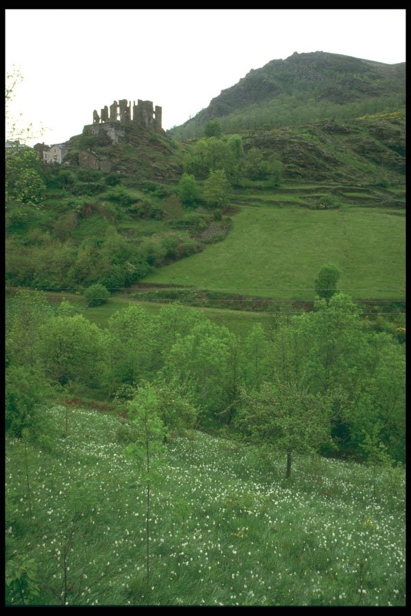 295023 Chateau Ruins In The Pyrennes, France A4 Photo Print
