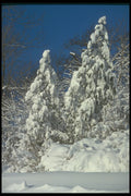 295025 Winter Snow scape, Quebec, Canada A4 Photo Print