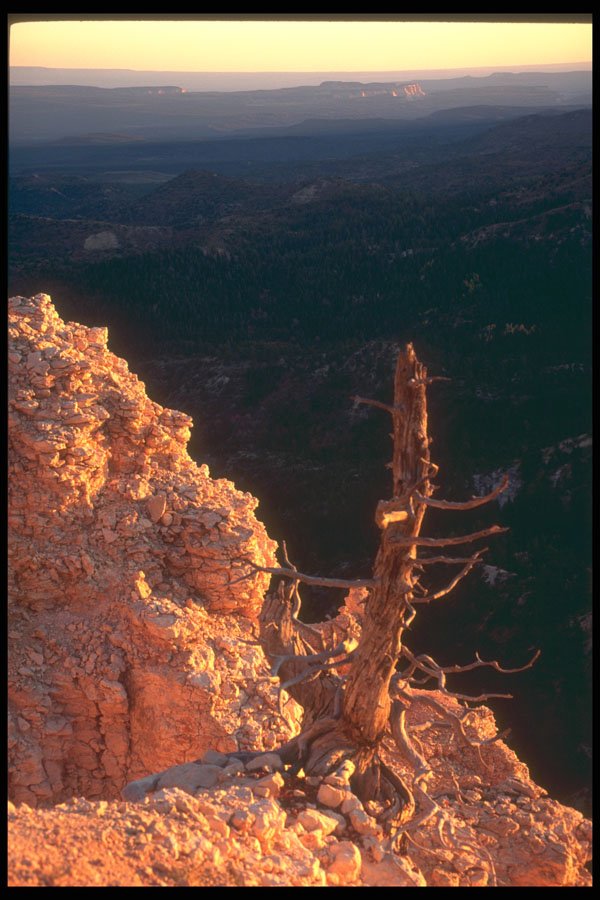 295029 Rainbow Point At Sunset, Utah, U.S.A. A4 Photo Print