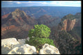 295035 Grand Canyon, North Rim, Arizona, U.S.A. A4 Photo Print