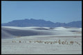 295047 White Sands National Park, New Mexico A4 Photo Print
