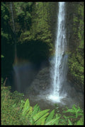 295057 Tropical Waterfall In Rain Forest, Hawaii, U.S.A. A4 Photo Print