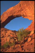 295058 Arches National Park, Utah, U.S.A. A4 Photo Print