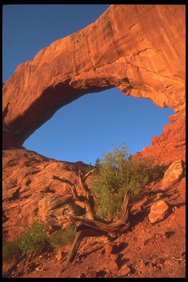 295058 Arches National Park, Utah, U.S.A. A4 Photo Print