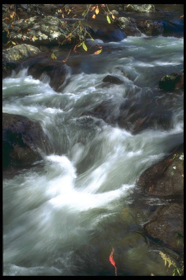 295063 Mountain Stream, Smokey Mountains, Tennessee, U.S.A. A4 Photo Print