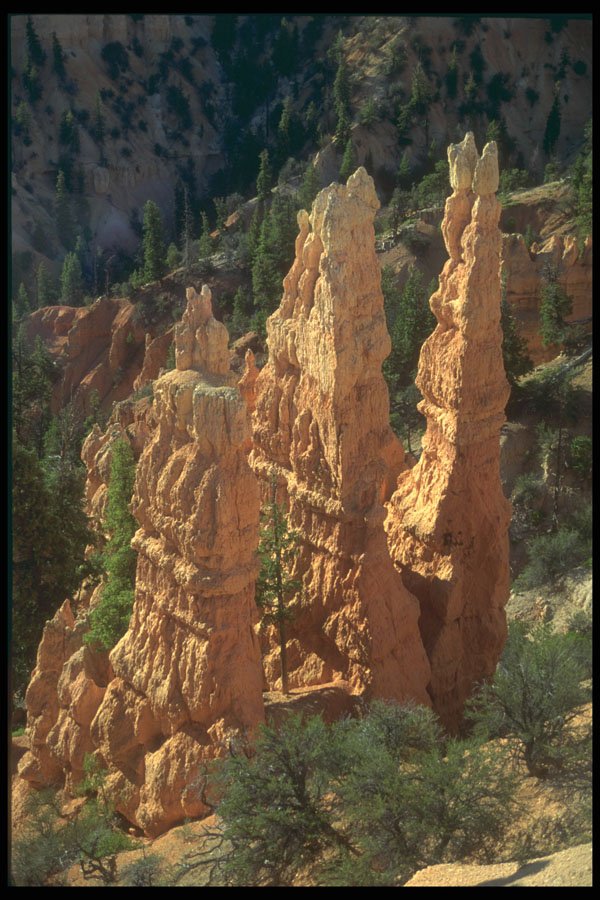 295069 Fairyland Point, Bryce Amphitheater, Utah, U.S.A. A4 Photo Print