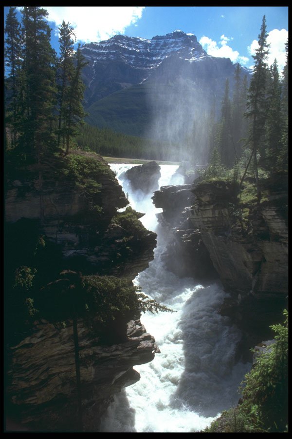 295070 Athabaska Falls, Alberta, Canada A4 Photo Print