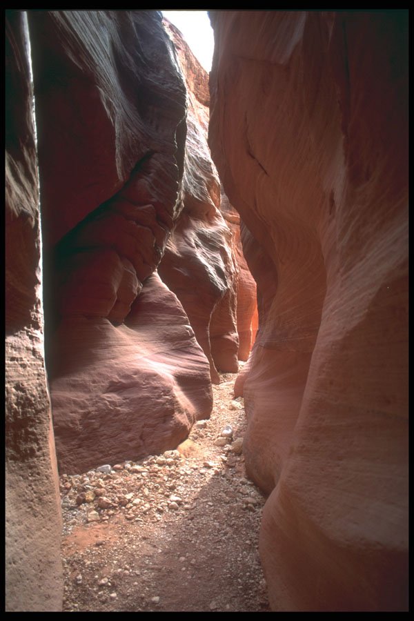 295074 Piria Canyon Wire Pass Drainage, Utah, U.S.A. A4 Photo Print