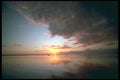 295080 Key Largo, Florida, U.S.A. A4 Photo Print