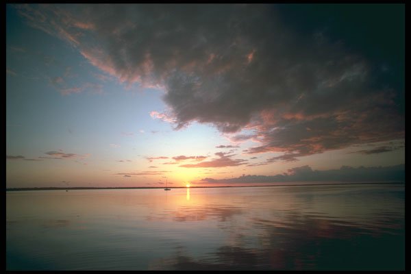 295080 Key Largo, Florida, U.S.A. A4 Photo Print