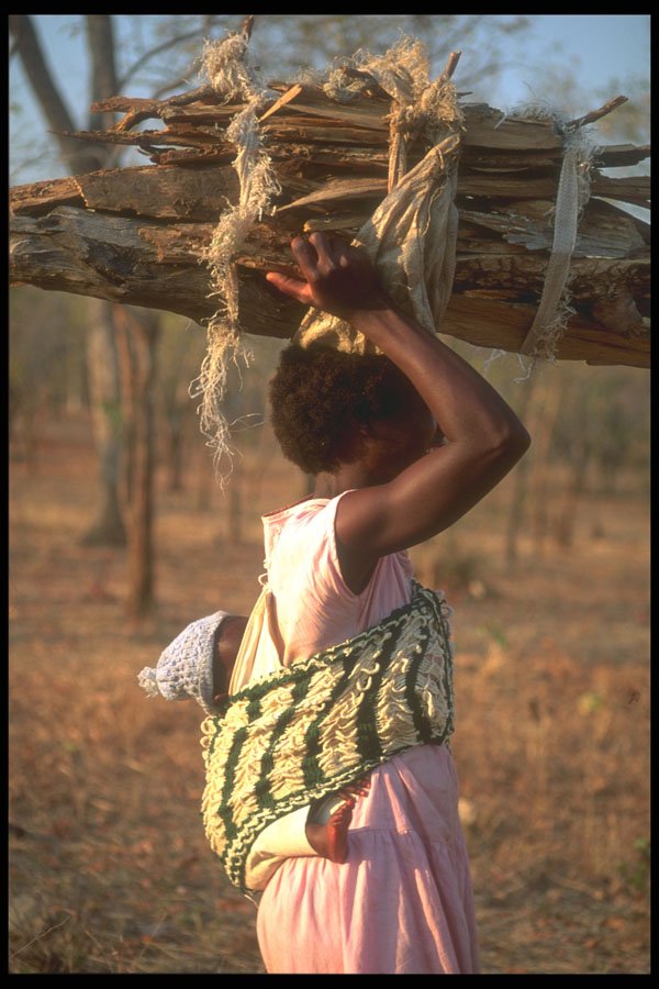 296000 Woman With Baby And Wood A4 Photo Print