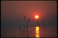 296001 Sunset, Lake Cariba A4 Photo Print