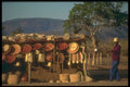 296003 Craft Market, Birch Enough Bridge A4 Photo Print