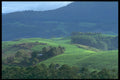 296004 Tea Plantations, Honde Valley A4 Photo Print