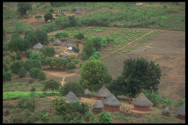 296015 A Community In Honde Valley A4 Photo Print