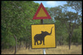 296027 Road Sign, Near Hwange A4 Photo Print