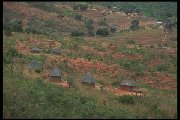 296040 Countryside, Honde Valley A4 Photo Print