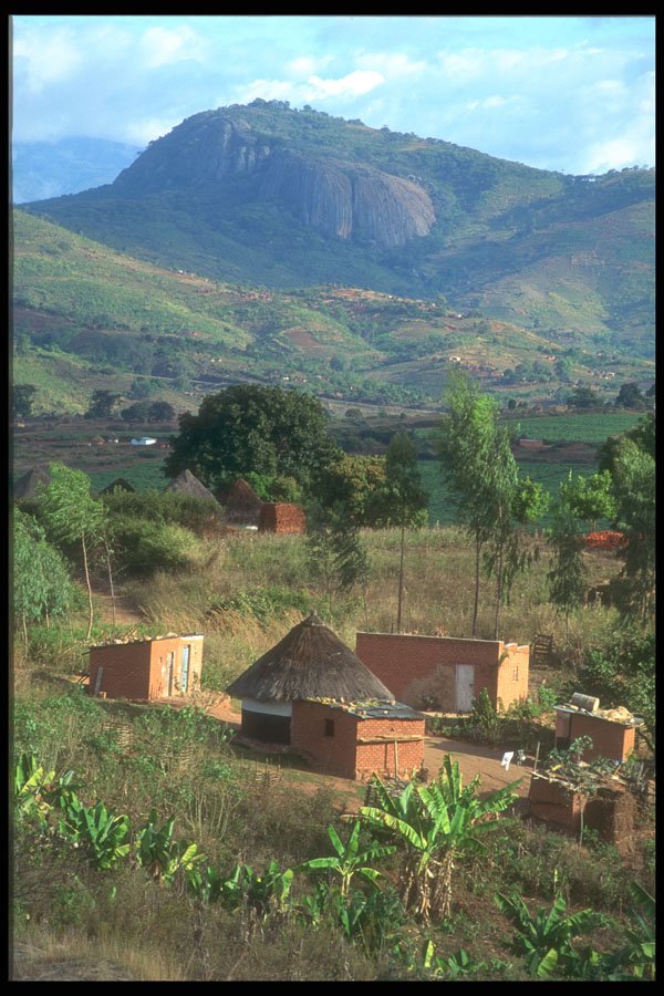 296054 Sunny Honde Valley A4 Photo Print