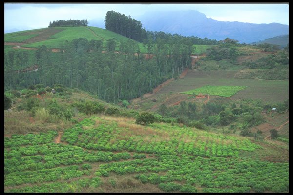 296060 Fertile Valley A4 Photo Print