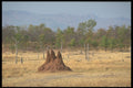 296063 Fothergill Island, Termite Mound A4 Photo Print