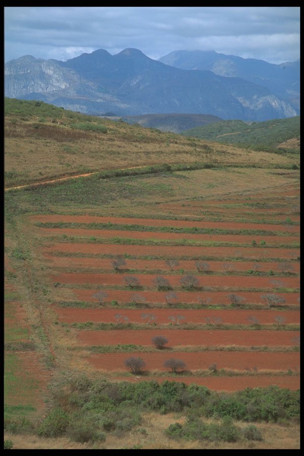 296073 Field In The Valley A4 Photo Print