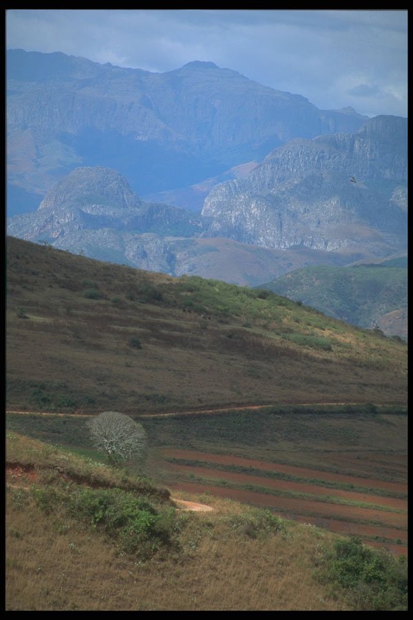 296083 Light And Shadows, Chimanimani Mountains A4 Photo Print