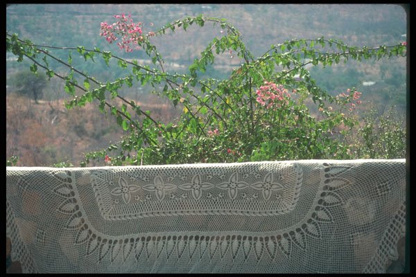 296099 Table Cloth And Flowers A4 Photo Print