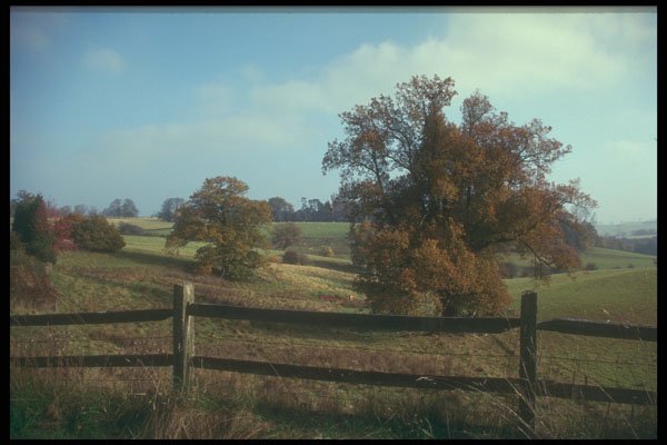 298003 Autumn Landscape A4 Photo Print
