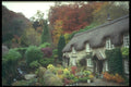 298009 Ruddycleave Cottages, Buckland in the Moor, Devon A4 Photo Print