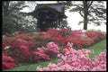 298012 Azaleas And Japanese Folly, Kew Gardens A4 Photo Print