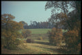 298034 Autumn Landscape, Kent A4 Photo Print