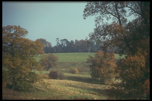 298034 Autumn Landscape, Kent A4 Photo Print