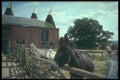 298041 Farm, Sandhurst, Kent A4 Photo Print