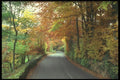 298043 Autumn Scene, Becky's Falls, Dartmore A4 Photo Print