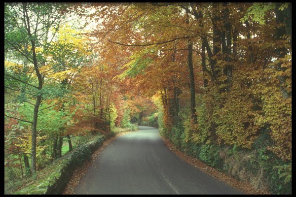 298043 Autumn Scene, Becky's Falls, Dartmore A4 Photo Print