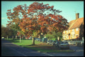 298047 Seddlescombe Village, East Sussex A4 Photo Print