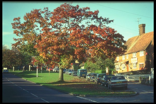 298047 Seddlescombe Village, East Sussex A4 Photo Print